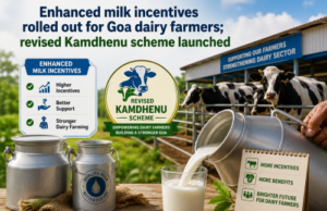 Enhanced milk incentives rolled out for Goa dairy farmers; revised Kamdhenu scheme launched