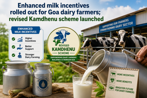 Goa dairy revised