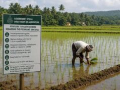 Agriculture department issues dry spell advisory for paddy farmers