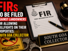FIRs to be filed against landowners for allowing bullfights on their properties: South Goa Collector