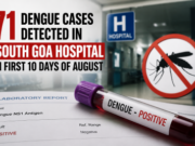 71 dengue cases detected in South Goa hospital in first 10 days of August