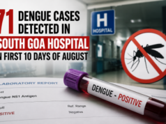 71 dengue cases detected in South Goa hospital in first 10 days of August