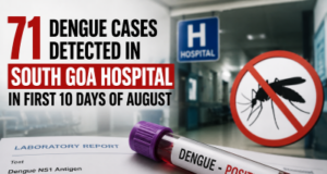 71 dengue cases detected in South Goa hospital in first 10 days of August