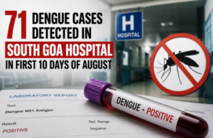 71 dengue cases detected in South Goa hospital in first 10 days of August