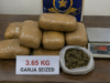 Colva Police seize 3.65 kg of ganja, arrest Navelim man
