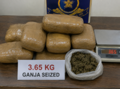 Colva Police seize 3.65 kg of ganja, arrest Navelim man