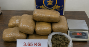 Colva Police seize 3.65 kg of ganja, arrest Navelim man