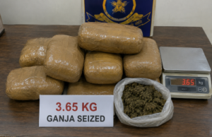 Colva Police seize 3.65 kg of ganja, arrest Navelim man