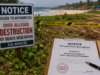 Notice issued to authorities over alleged destruction of beach vegetation at Calangute