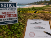 Notice issued to authorities over alleged destruction of beach vegetation at Calangute