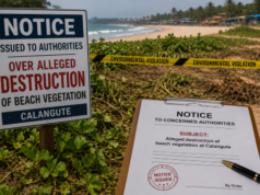 Notice issued to authorities over alleged destruction of beach vegetation at Calangute
