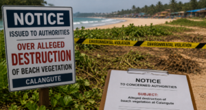 Notice issued to authorities over alleged destruction of beach vegetation at Calangute
