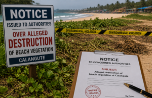 Notice issued to authorities over alleged destruction of beach vegetation at Calangute