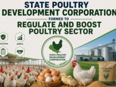 State Poultry Development Corporation formed to regulate and boost poultry sector