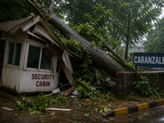 Security guard killed after tree falls on cabin at Caranzalem