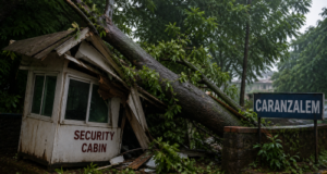 Security guard killed after tree falls on cabin at Caranzalem