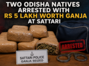 Two Odisha natives arrested with Rs 5 lakh worth ganja at Sattari