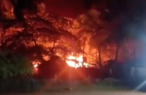 Four guesthouse cottages gutted in fire at Anjuna; no injuries reported