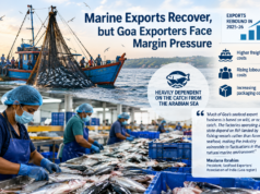 Marine exports recover, but Goa exporters face margin pressure