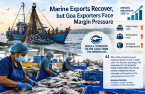 Marine exports recover, but Goa exporters face margin pressure