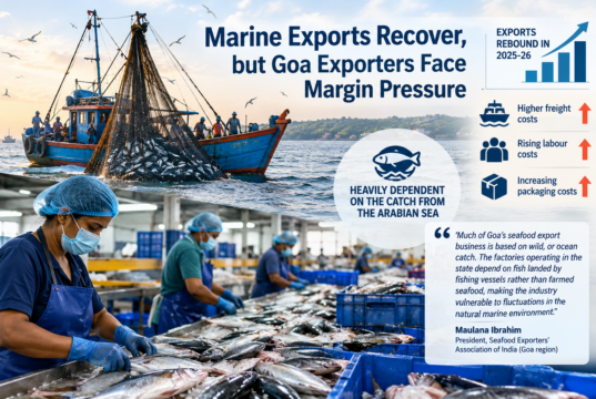 Marine exports recover, but Goa exporters face margin pressure