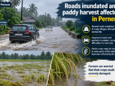 Roads inundated and paddy harvest affected in Pernem