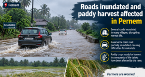 Roads inundated and paddy harvest affected in Pernem