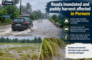 Roads inundated and paddy harvest affected in Pernem