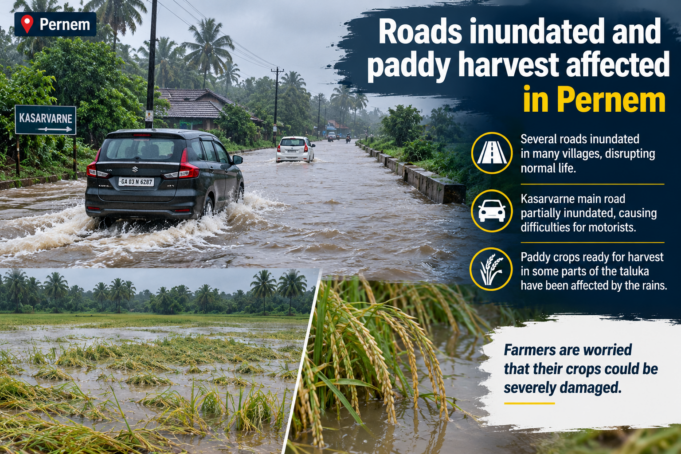 Roads inundated and paddy harvest affected in Pernem