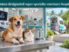 Veterinary upgrade plan notified; Tonca designated super-speciality hospital