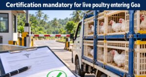 Goa govt makes certification mandatory for live poultry entering State