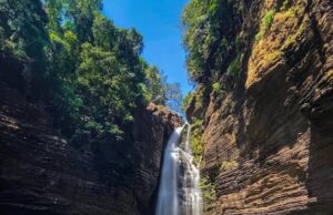 20 held for entering restricted waterfall area in Mhadei sanctuary